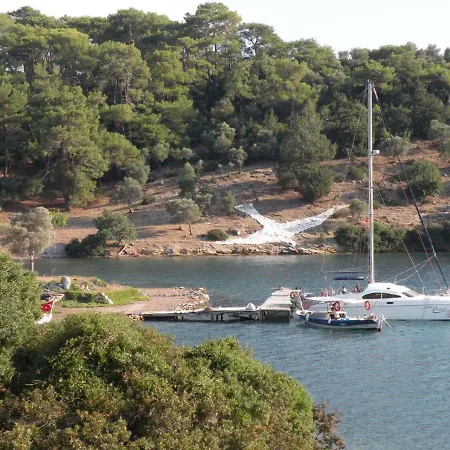 Only Blue Mansion Cove
