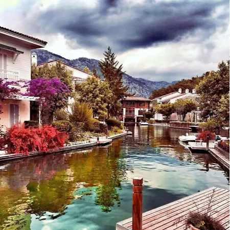 Only Blue Mansion Cove *