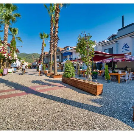Only Blue Mansion Cove *